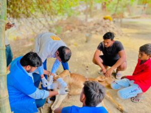 जीवों की रक्षा के लिए सदैव तत्पर