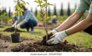world environment day 2025