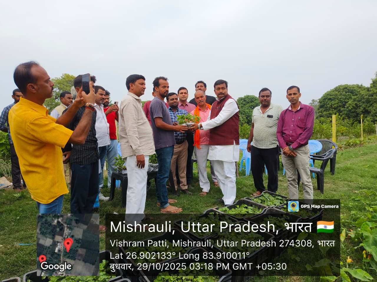 पडरौना विधानसभा में शुरू हुई स्ट्राबेरी की खेती