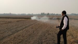 पराली जलाने से पर्यावरण होता है दूषित जिलाधिकारी:
