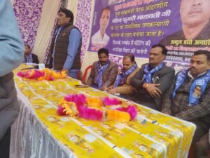 Mayawati Birthday Preparations