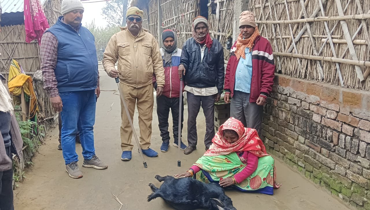 तेंदुए का महिला व बकरी पर हमला, गांव में दहशत  