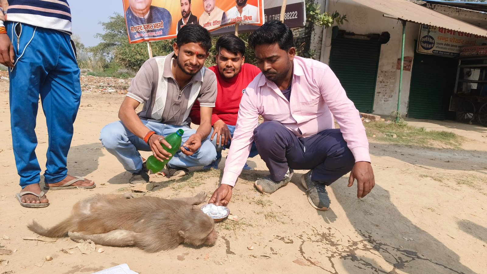Injured Monkey Rescue