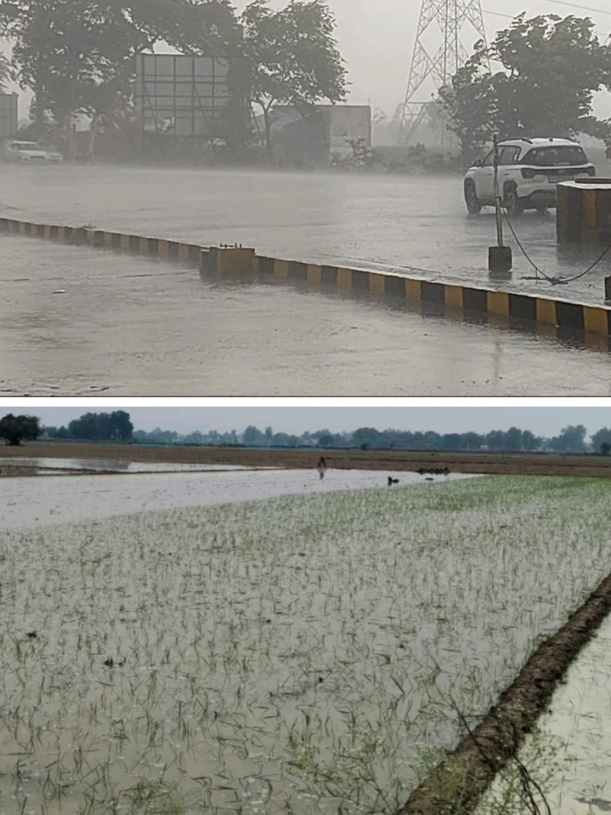 हल्की बारिश ने गर्मी घटाई, धान रोपाई को मिली नई रफ्तार।
