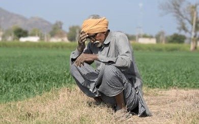Indian Farmers
