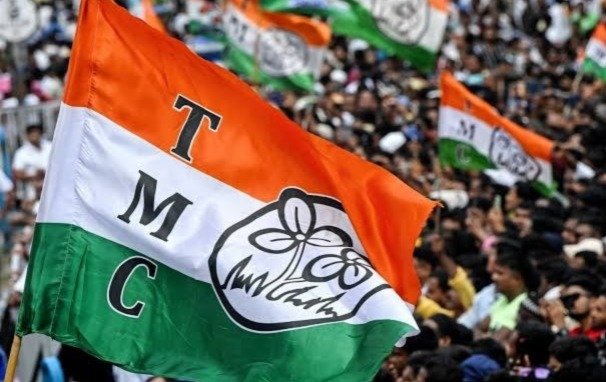 TMC News